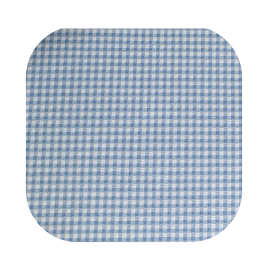Blue Gingham Skirt and Hair Accessory
